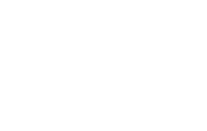Area 17